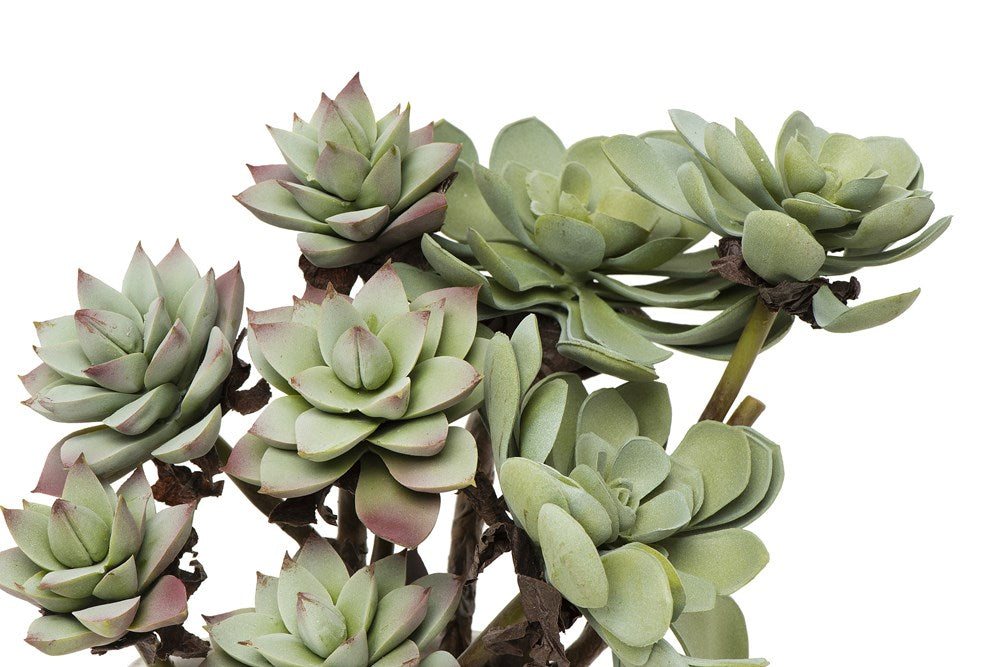 succulent with branches Faux Succulent Branch – Ville and Rue