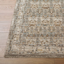 Load image into Gallery viewer, Aria Rug