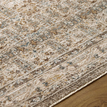 Load image into Gallery viewer, Aria Rug