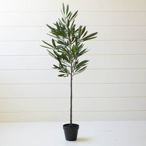 Artificial Eucalyptus Tree