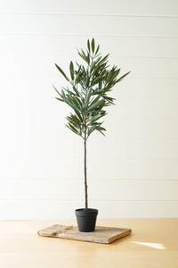 Artificial Eucalyptus Tree