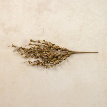 Load image into Gallery viewer, Beige &amp; Cream Heather Bush