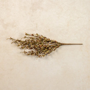 Beige & Cream Heather Bush