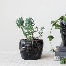 Load image into Gallery viewer, Black Embossed Planter