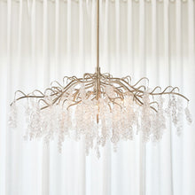 Load image into Gallery viewer, Boreas Chandelier