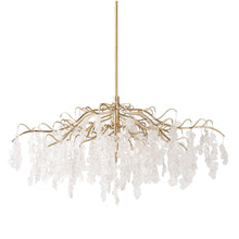 Load image into Gallery viewer, Boreas Chandelier