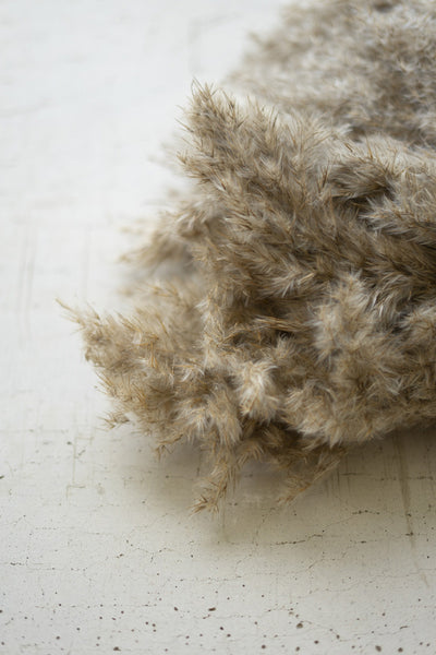 Bundle of Natural Pampas Grass