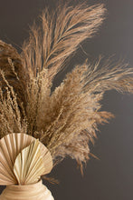 Load image into Gallery viewer, Bundle of Natural Pampas Grass