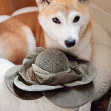 Load image into Gallery viewer, Cabbage Pop Enrichment Dog Toy