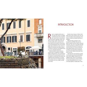 Cats of Rome Book