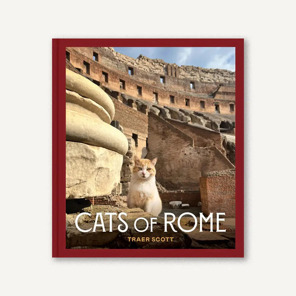 Cats of Rome Book