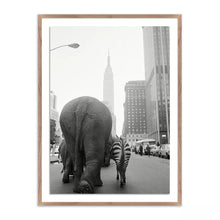 Load image into Gallery viewer, Circus Animals On 33rd Street by Getty Images