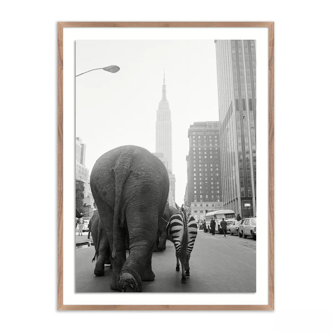 Circus Animals On 33rd Street by Getty Images