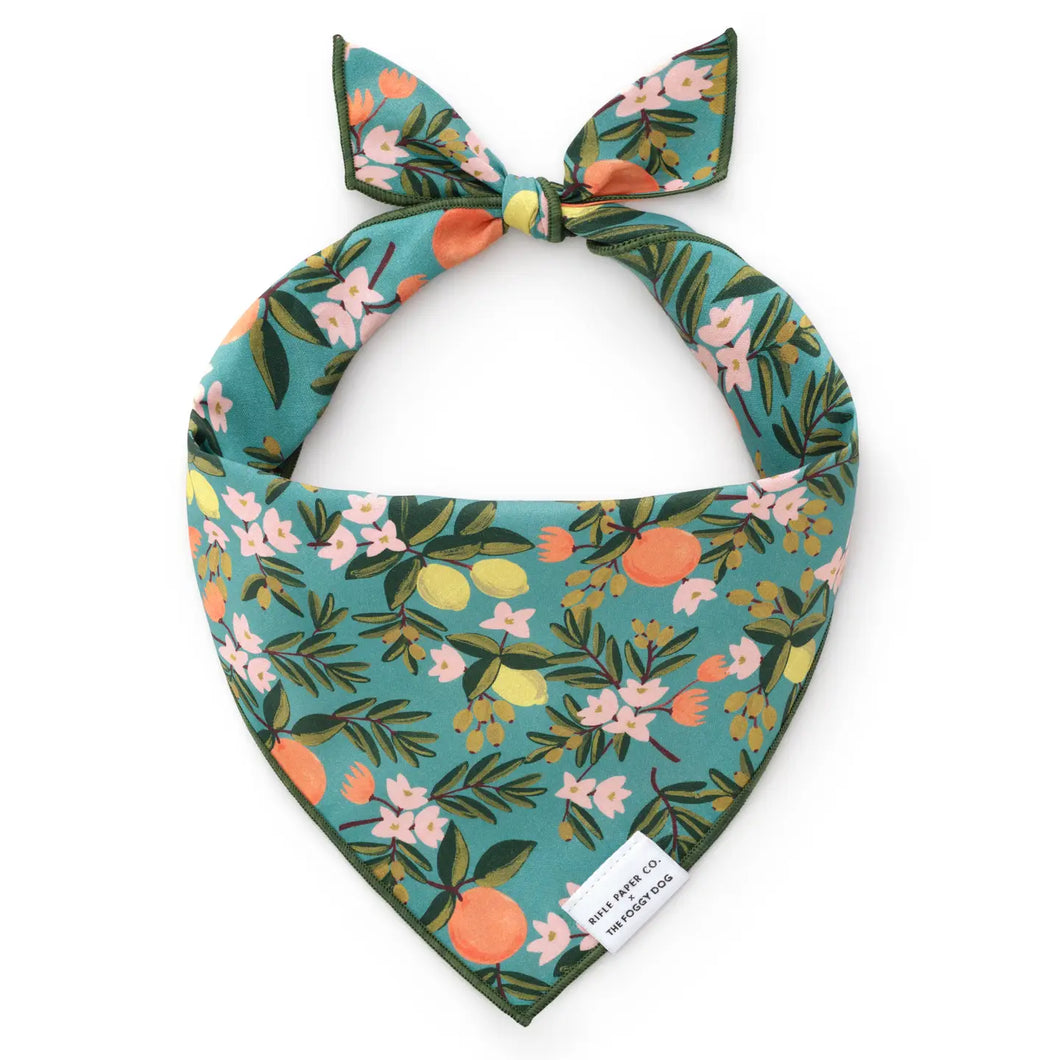 Citrus Floral Dog Bandana