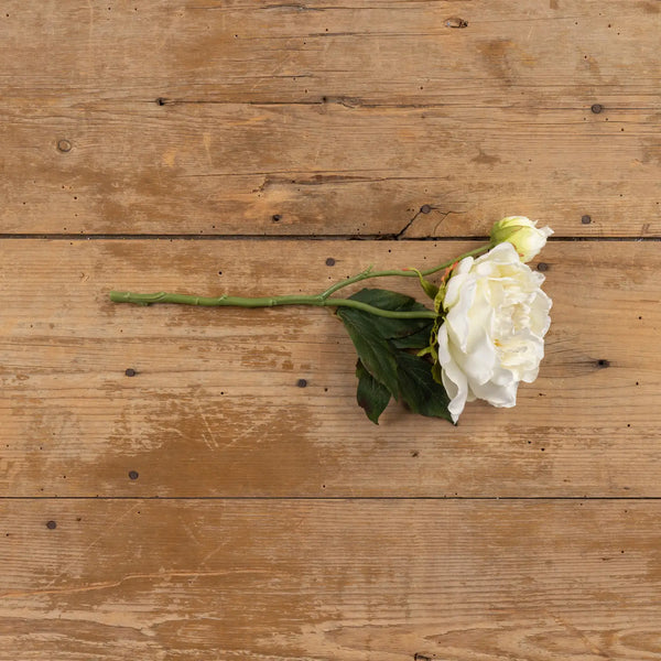 Cream Peony Spray