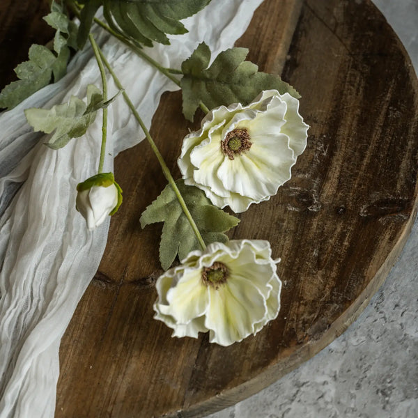 Cream Poppy Spray