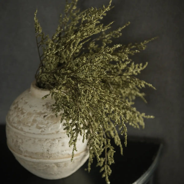 Green Dance Plant Bush