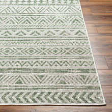 Load image into Gallery viewer, Delray Rug