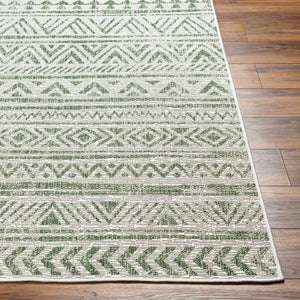 Delray Rug