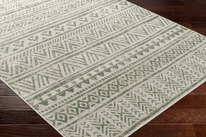 Delray Rug