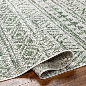 Delray Rug