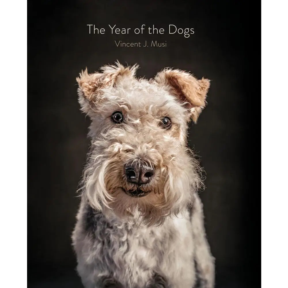 Year of the Dogs Book