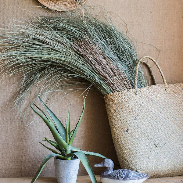 Dried Grass Bundle
