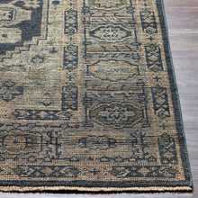 Load image into Gallery viewer, Emerson Rug