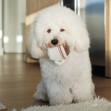 Load image into Gallery viewer, Espresso Pop Enrichment Dog Toy