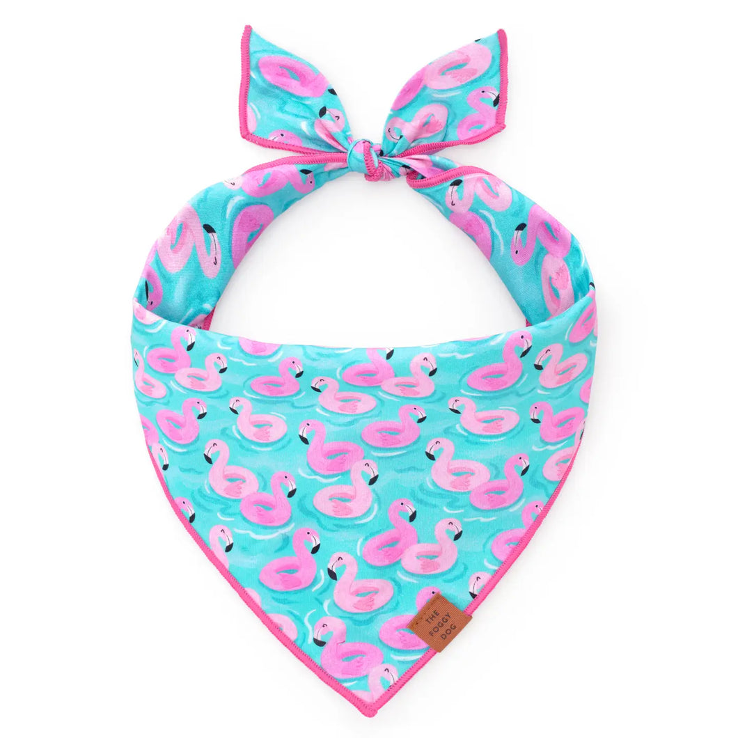 Float-Mingo Dog Bandana