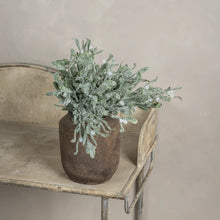 Load image into Gallery viewer, Frosted Mistletoe Bush
