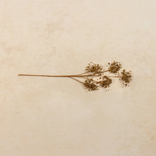 Load image into Gallery viewer, Gold Beaded Pick