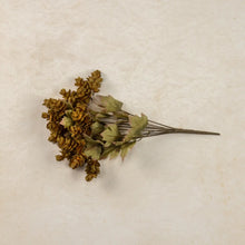 Load image into Gallery viewer, Green Hops Bush with Leaves