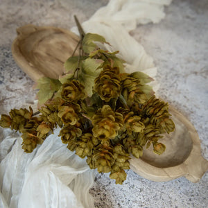 Green Hops Bush with Leaves