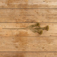 Load image into Gallery viewer, Green Queen Anne Lace Spray