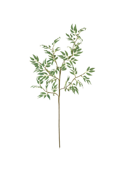 Green Sprig