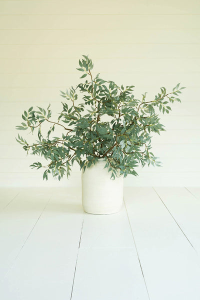 Green Sprig