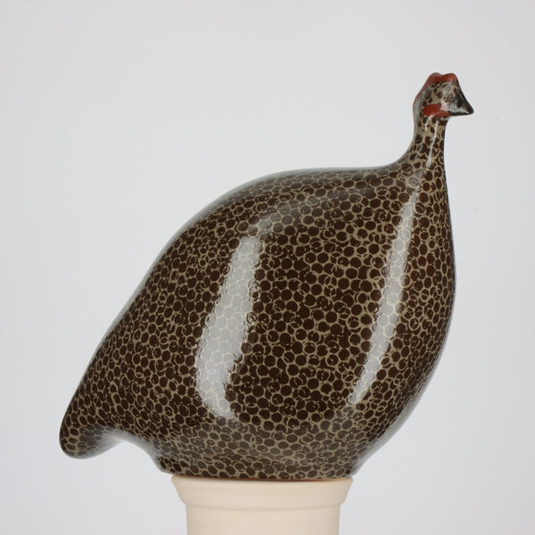 Guinea Fowl Black Speckled Grey - Edgar