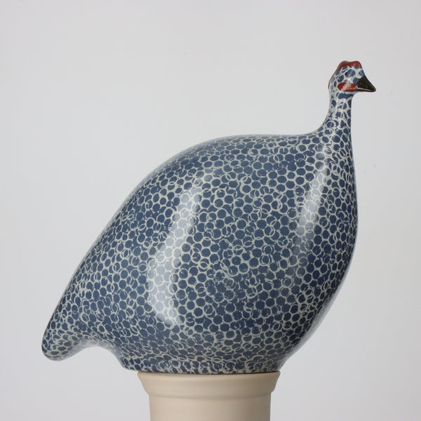 Guinea Fowl Electric Blue Speckled White - Benjamin