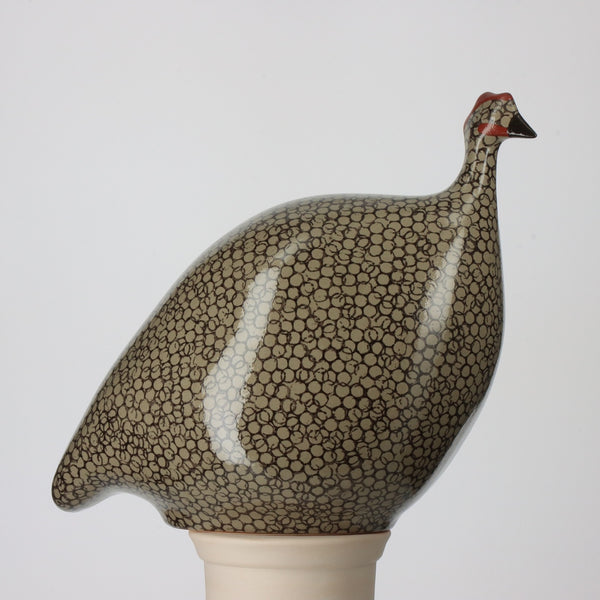 Guinea Fowl Grey Speckled Black - Hugo
