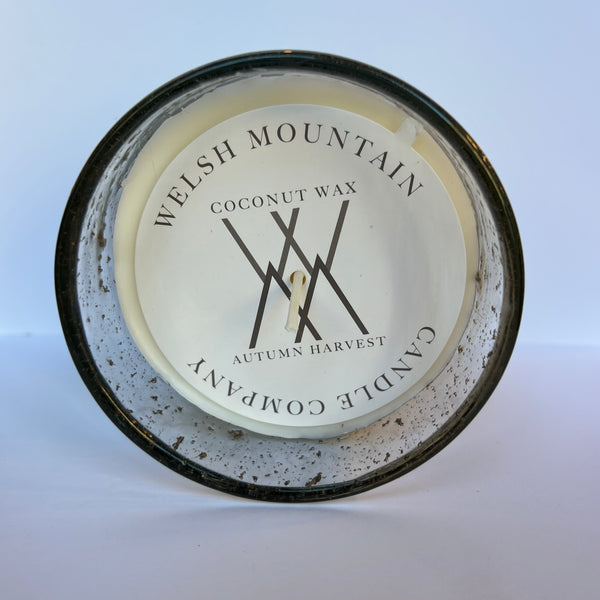 Autumn Harvest Candle