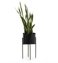 Load image into Gallery viewer, Floor Model Jed Planter