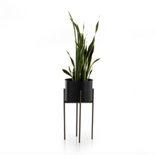 Load image into Gallery viewer, Floor Model Jed Planter