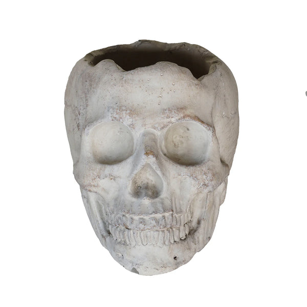 Concrete Momento Mori Skull