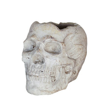 Load image into Gallery viewer, Concrete Momento Mori Skull