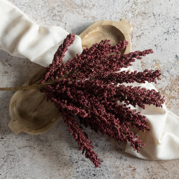 Mulberry Heather Bush
