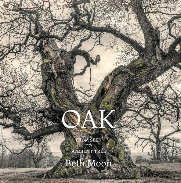 Oak: from Seed To Ancient Tree Book