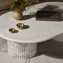 Load image into Gallery viewer, Oranda Coffee Table
