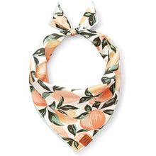 Load image into Gallery viewer, Peaches and Cream Dog Bandana