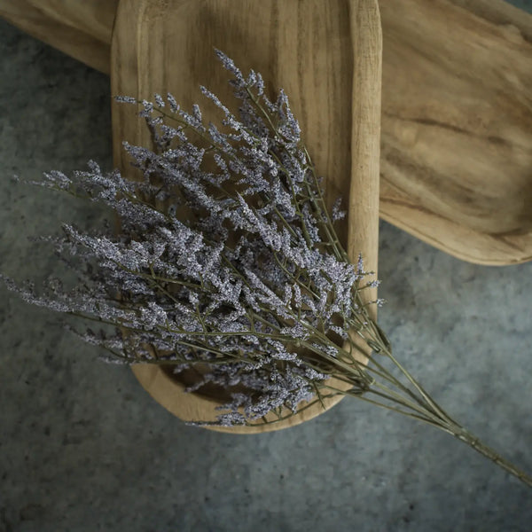 Purple Dance Plant Bush